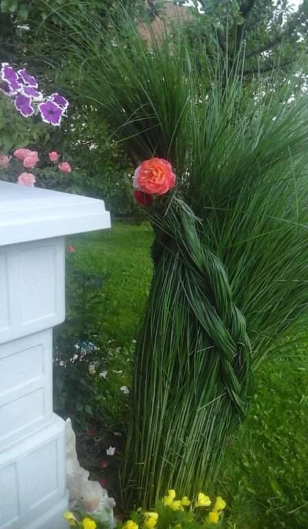 Apartman Drina Berilovac Exterior photo
