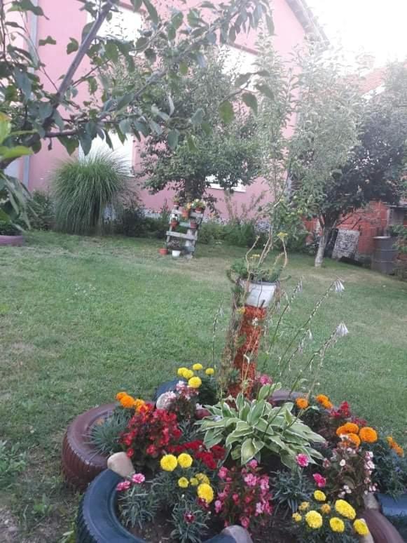 Apartman Drina Berilovac Exterior photo